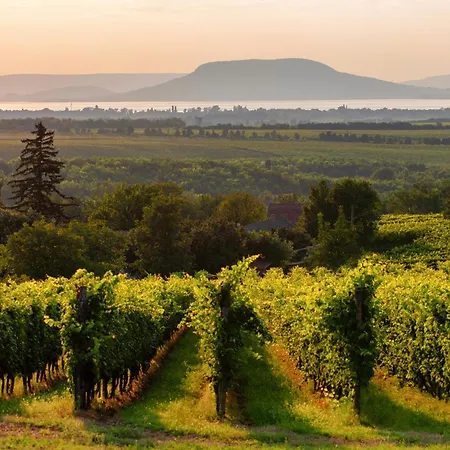 Σπίτι διακοπών In - Balaton 18585