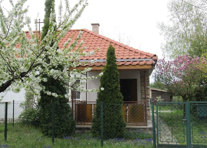 In - Balaton 18585 *