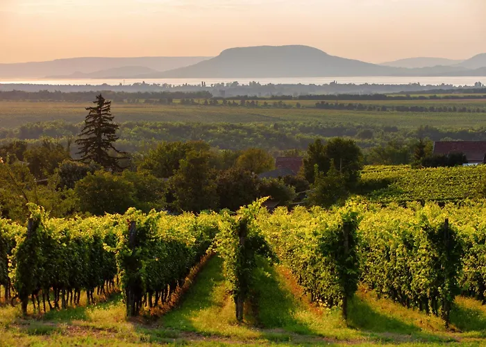 בית נופש In - Balaton 18585